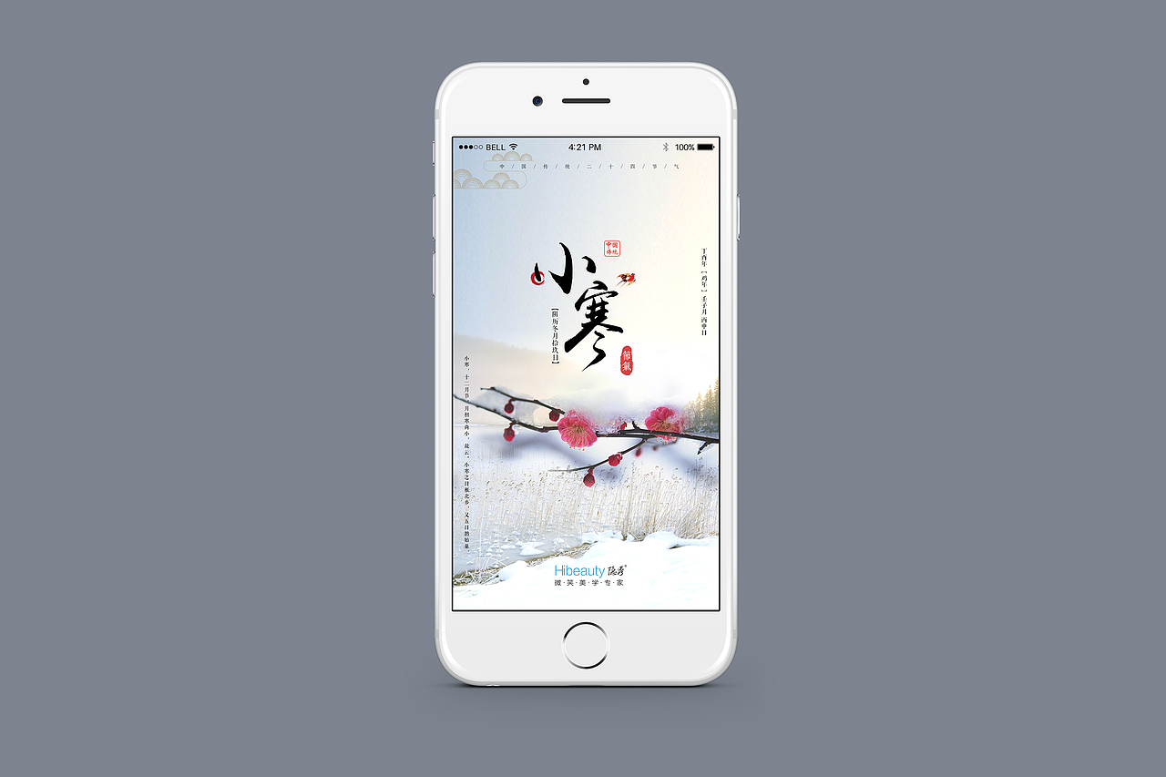 节气相关品牌宣传稿（图ZMTA1MTM1Mjky） - 海报 - 站酷设计师wongvivi原创素材 - 站酷ZCOOL