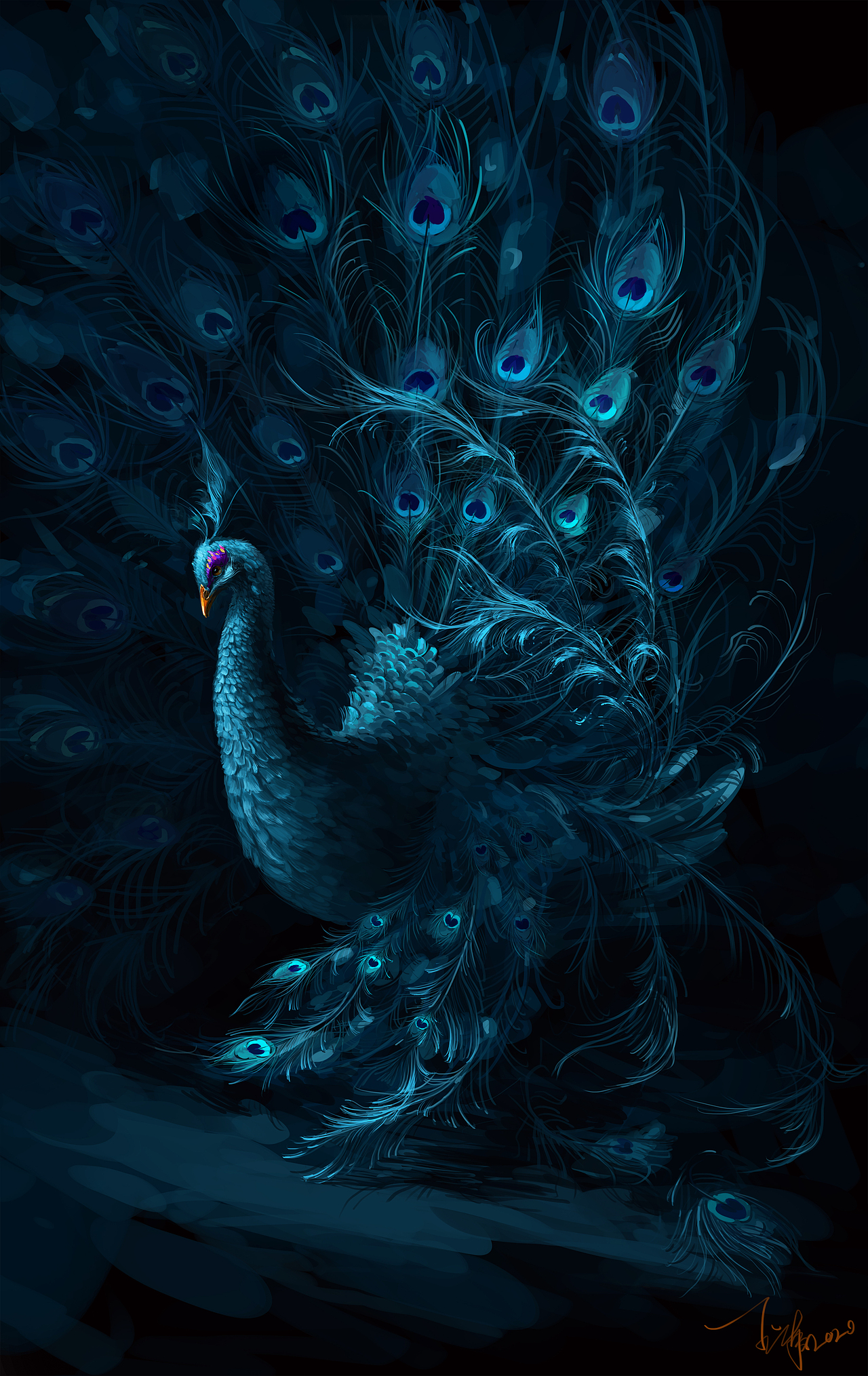 蓝孔雀（图ZMjA2NDI3ODAw） - 创作习作 - 站酷设计师单单热爱原创素材 - 站酷ZCOOL