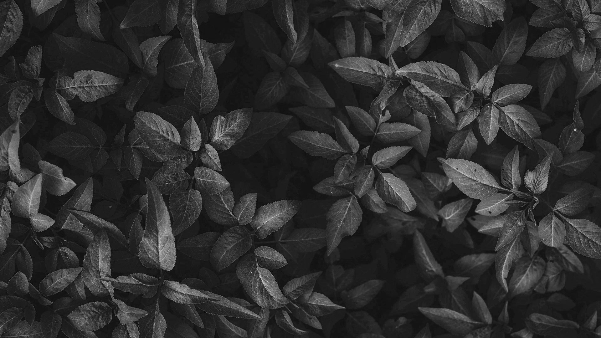 宇杰嘟嘟的个人主页（封面预览） - 主页封面设置 - 站酷设计师宇杰嘟嘟原创素材 - 站酷ZCOOL