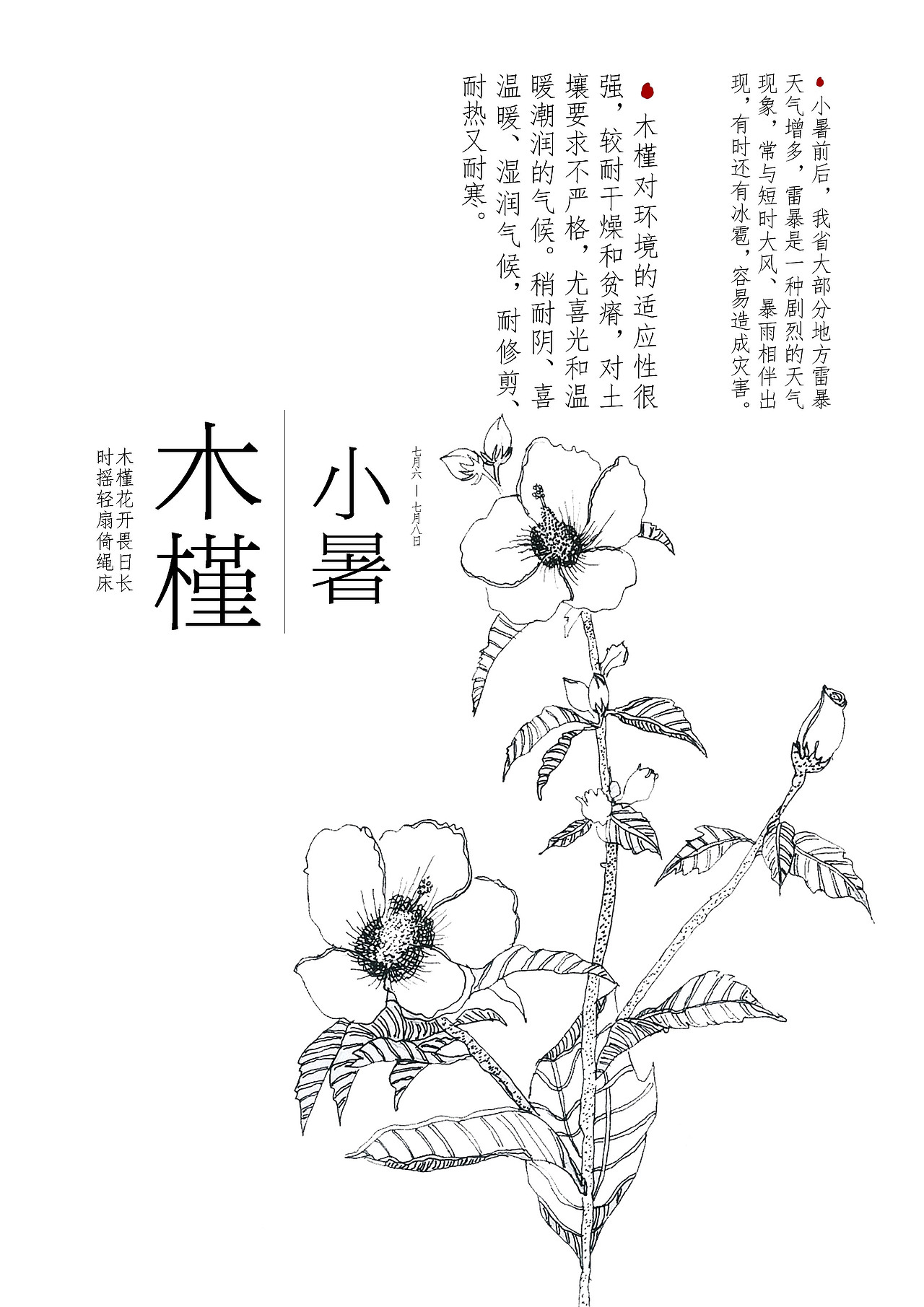 二十四节气花卉插画设计