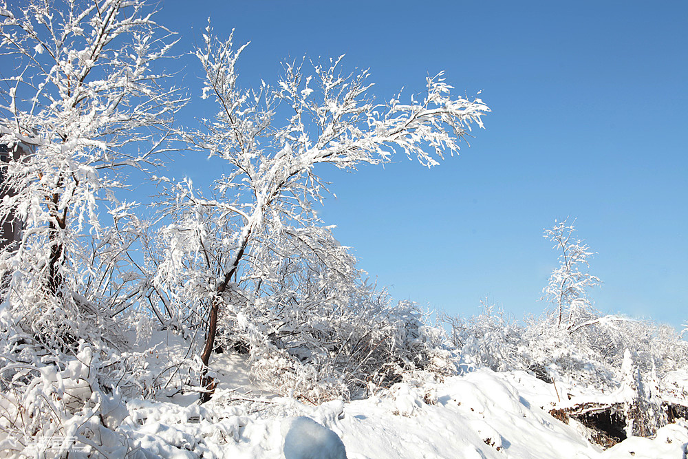 银装素裹的北京