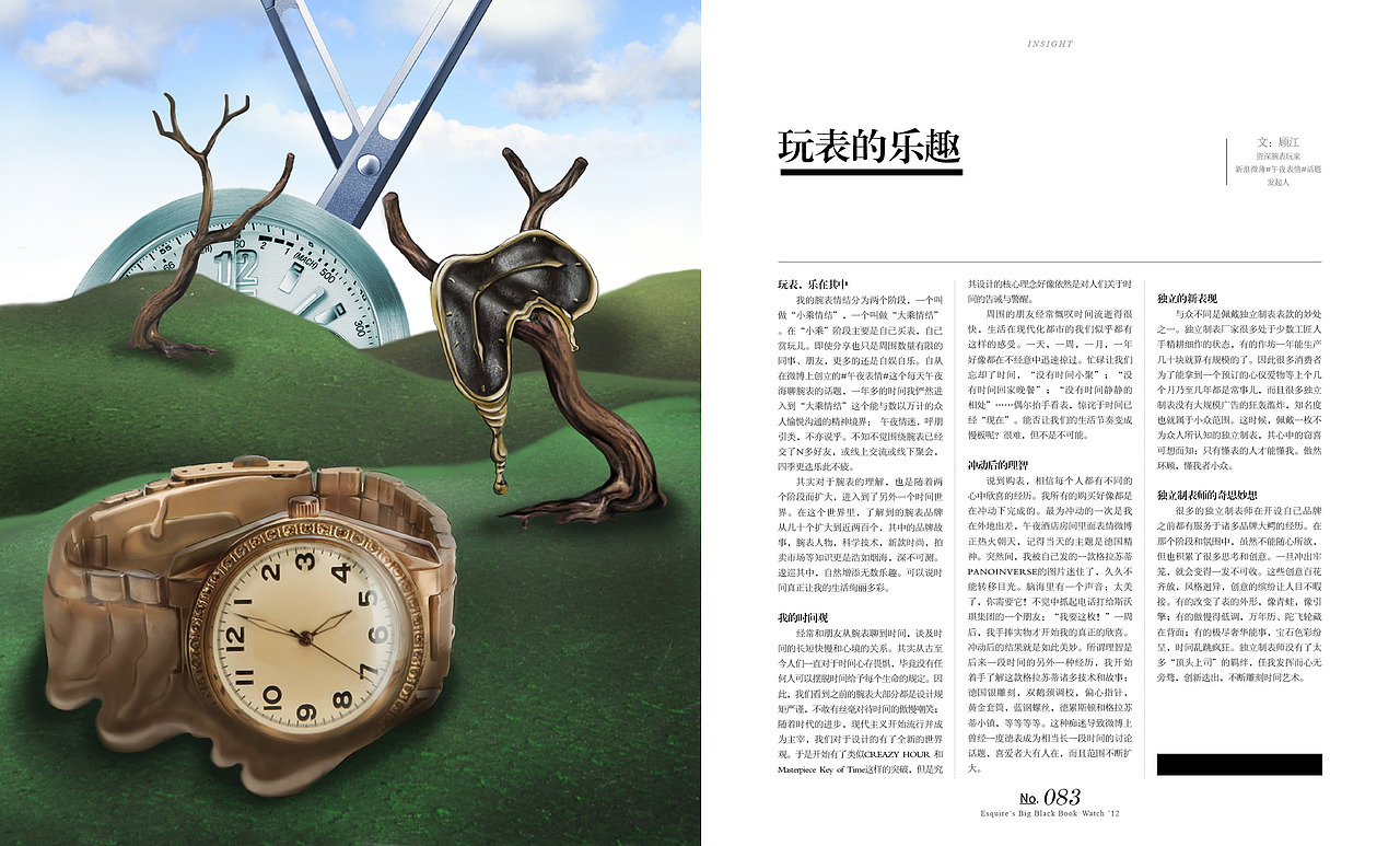 2012年黑皮书—表