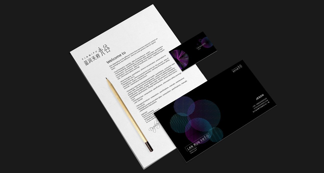 500强地产VI提案(三)