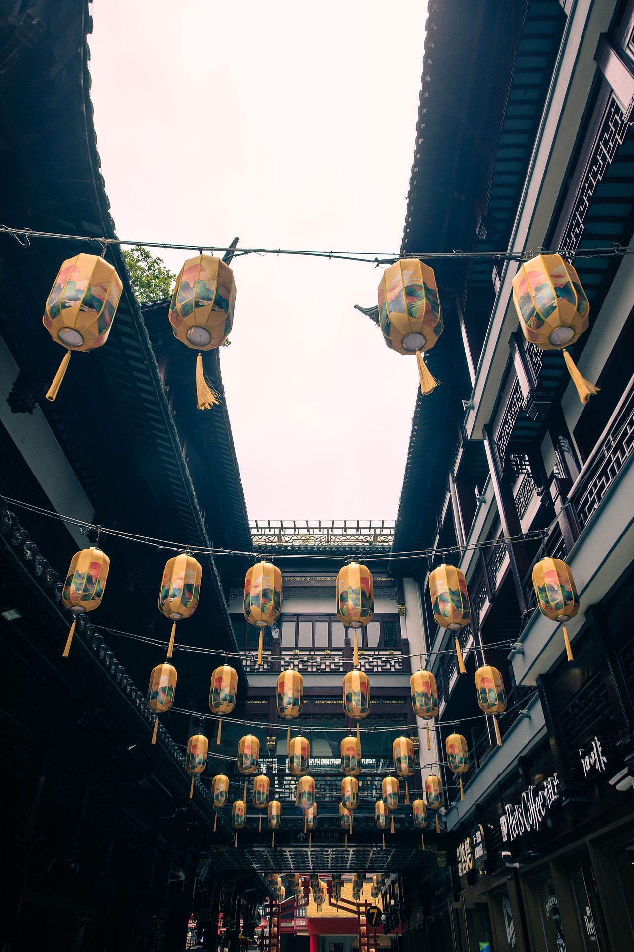 行摄上海（图ZMjU1NjIwNjY0） - 风光摄影 - 站酷设计师swatzs926原创素材 - 站酷ZCOOL