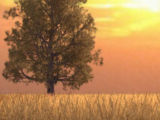 稻田（个人主页-ZNDk3NDUxOTY=） - 场景 - 站酷设计师Cg_Ryan原创素材 - 站酷ZCOOL