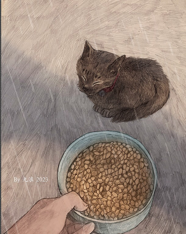 给一个外国主播画的救助小猫的绘本（图ZMzQwODMzMDk2） - 绘本 - 站酷设计师胖蛇CHER原创素材 - 站酷ZCOOL