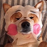 嘢嘿诶欸的头像