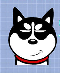 哈小齐的以往表情