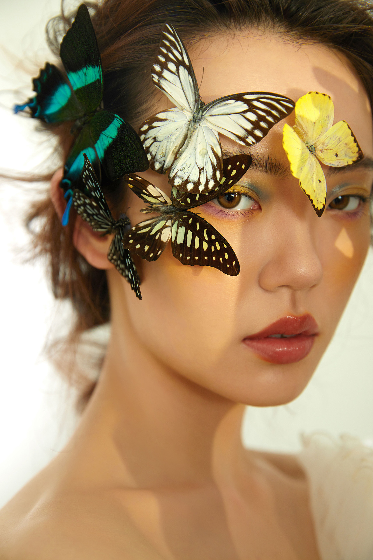 【潇光作品】蝶恋花