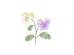 HANA'S FLOWER