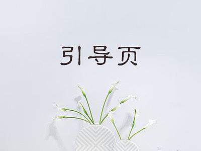 引导页