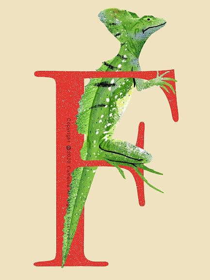 26个字母与动物的创意组合插画（图ZMjE0NjUxNDMy） - 创作习作 - 站酷设计师山之茶花Camellia原创素材 - 站酷ZCOOL