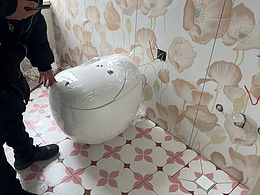 大卫伯爵（小萌猴）智能马桶