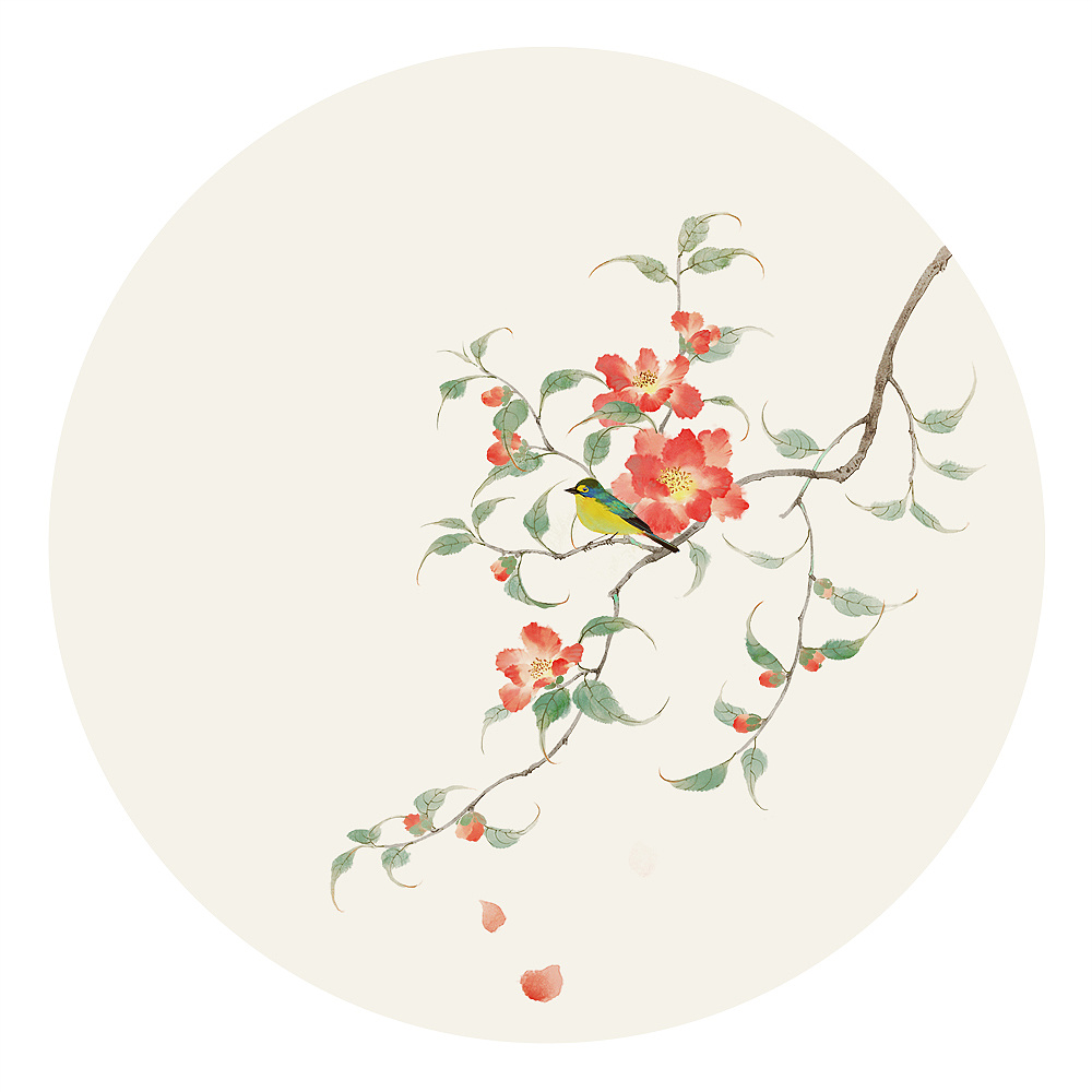花鸟|插画|商业插画|无轩花莳记 - 原创作品 - 站酷 (zcool)