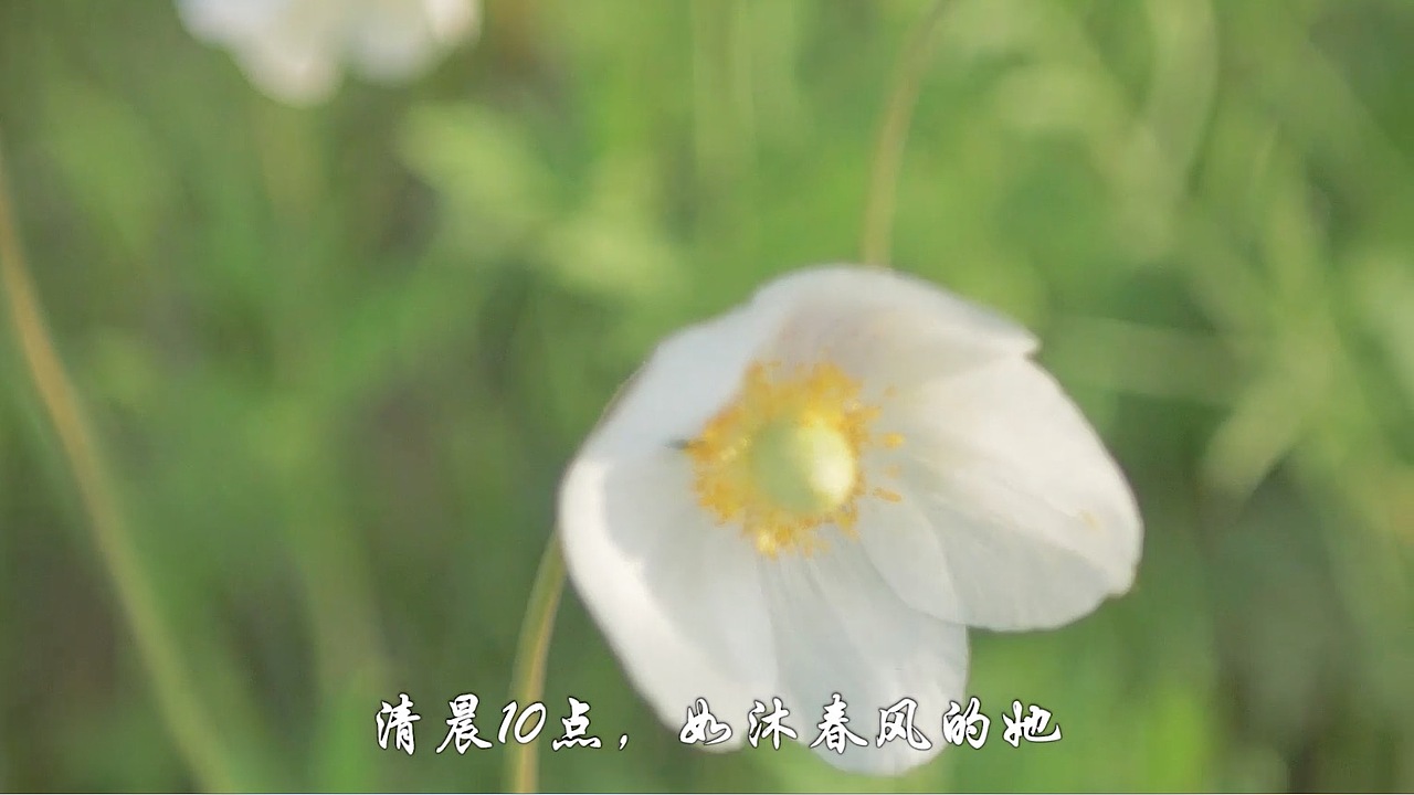 舌尖上的中国美妆篇（图ZMTIwNjQ2NjYw） - 短片 - 站酷设计师NickeyTian原创素材 - 站酷ZCOOL