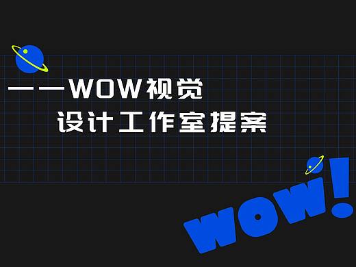 WOW视觉设计工作室品牌提案