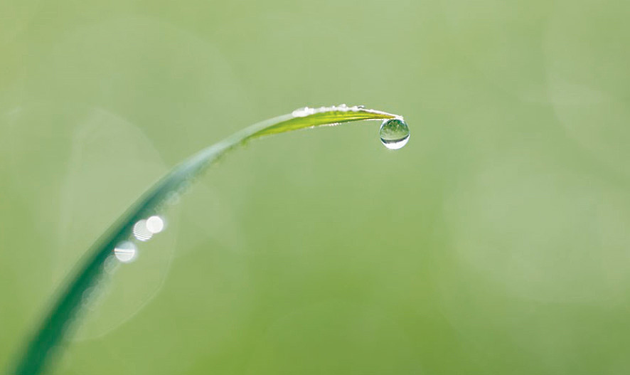 本來味稻有機(jī)大米品牌設(shè)計(jì)（圖ZODk3OTI1NTY=） - 品牌 - 站酷設(shè)計(jì)師上智誠品牌原創(chuàng)素材 - 站酷ZCOOL