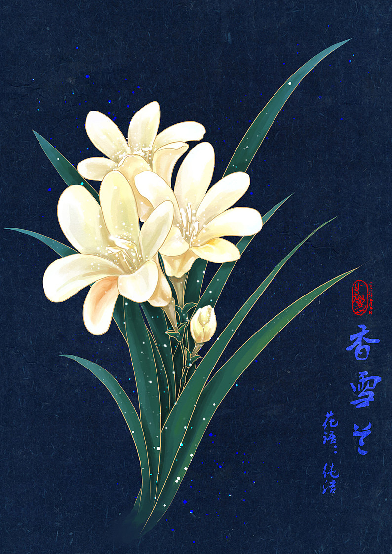 2012年9月9日——香雪兰