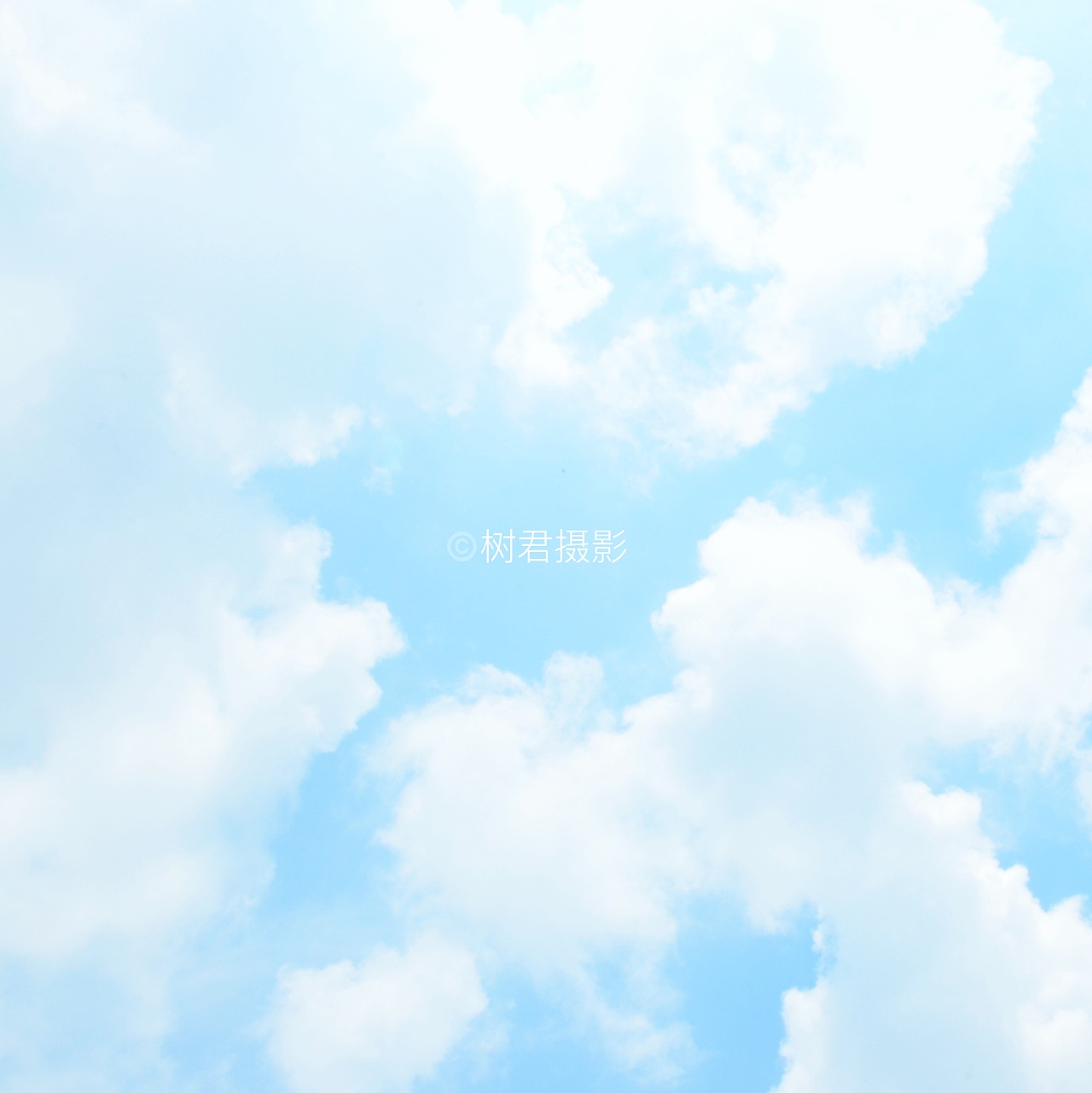 小清新色系主题摄影（图ZMTE2OTMxODMy） - 产品摄影 - 站酷设计师树君摄影原创素材 - 站酷ZCOOL