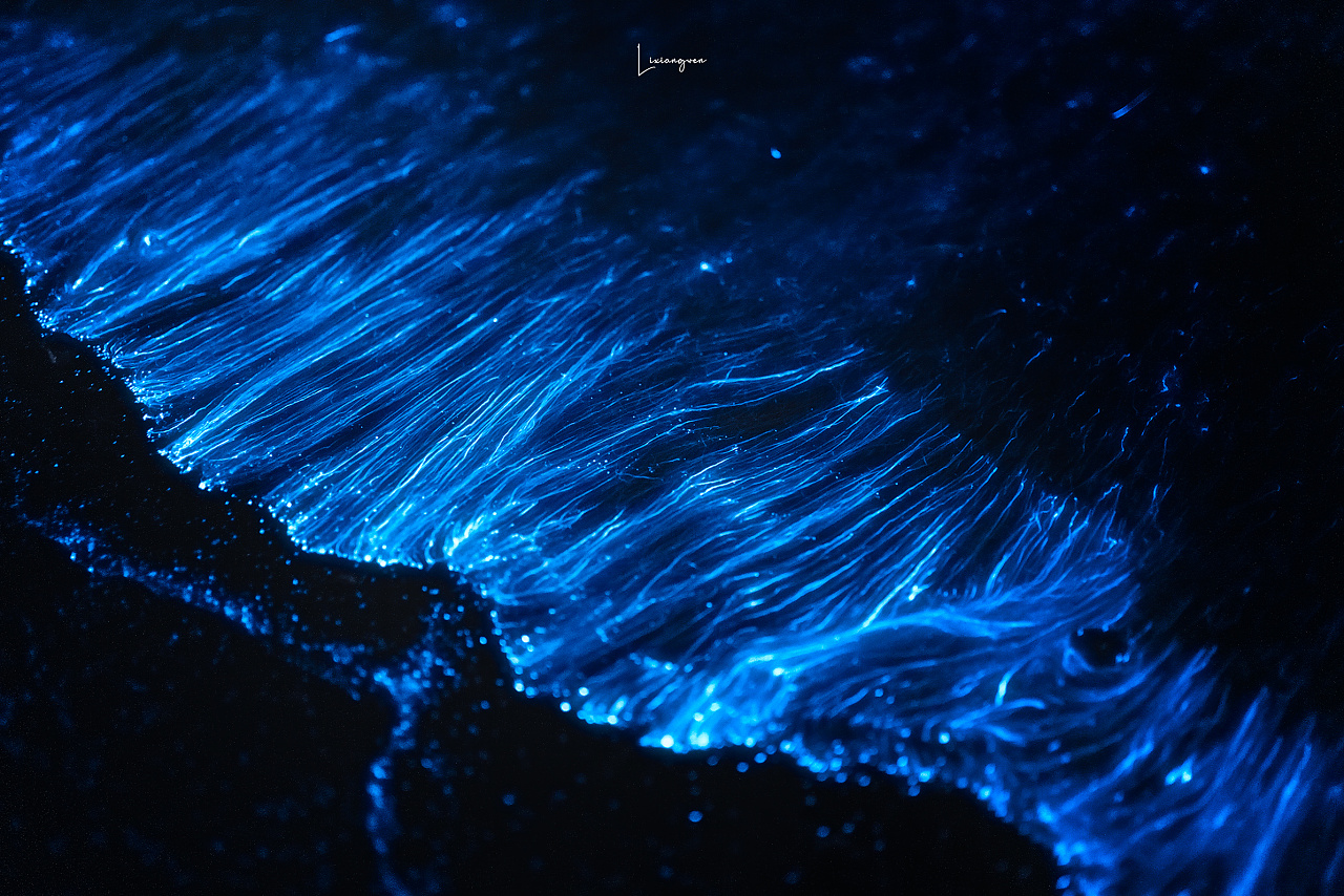 丝状蓝眼泪|摄影|风光摄影|哈拉文子 - 原创作品 - 站酷 (zcool)