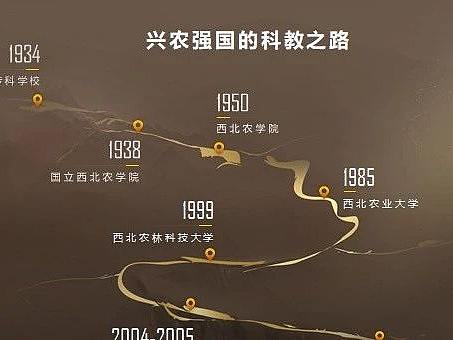现在学校招生宣传PPT都做的这么好看啦！