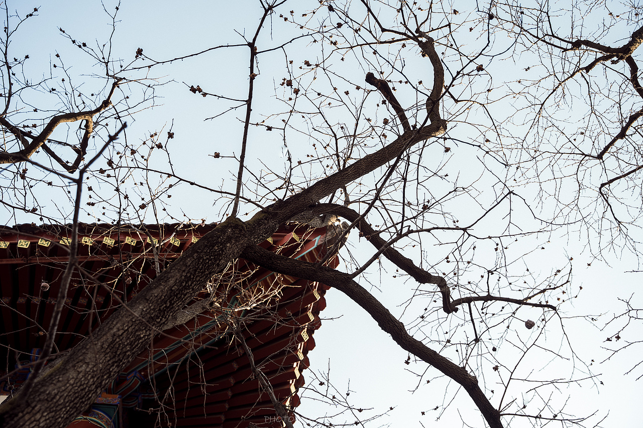 西安游记 华清宫