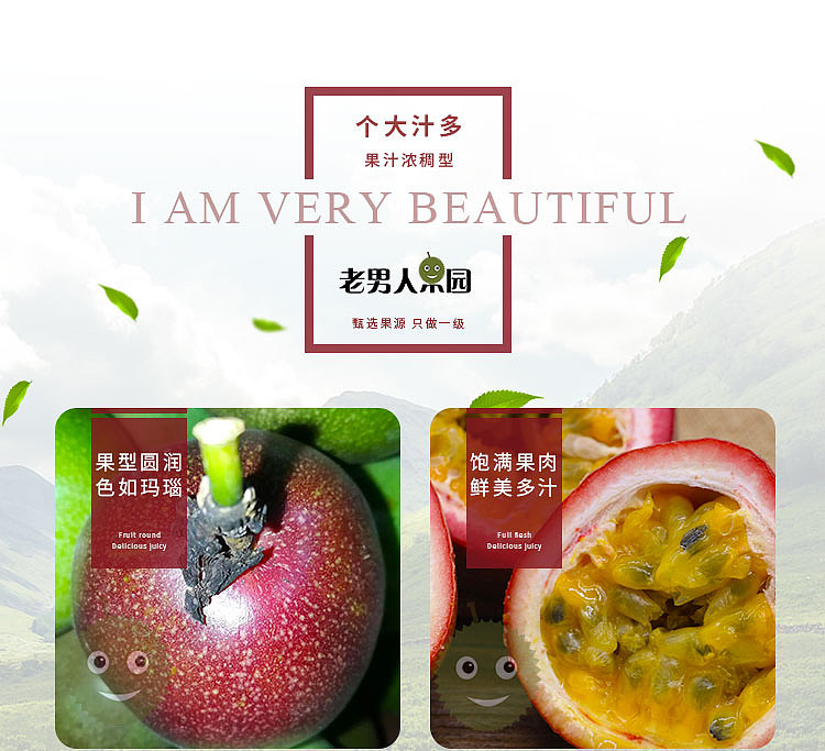 老男人果品百香果（图ZMTE0NDQxODA4） - 宣传物料 - 站酷设计师邱公城原创素材 - 站酷ZCOOL