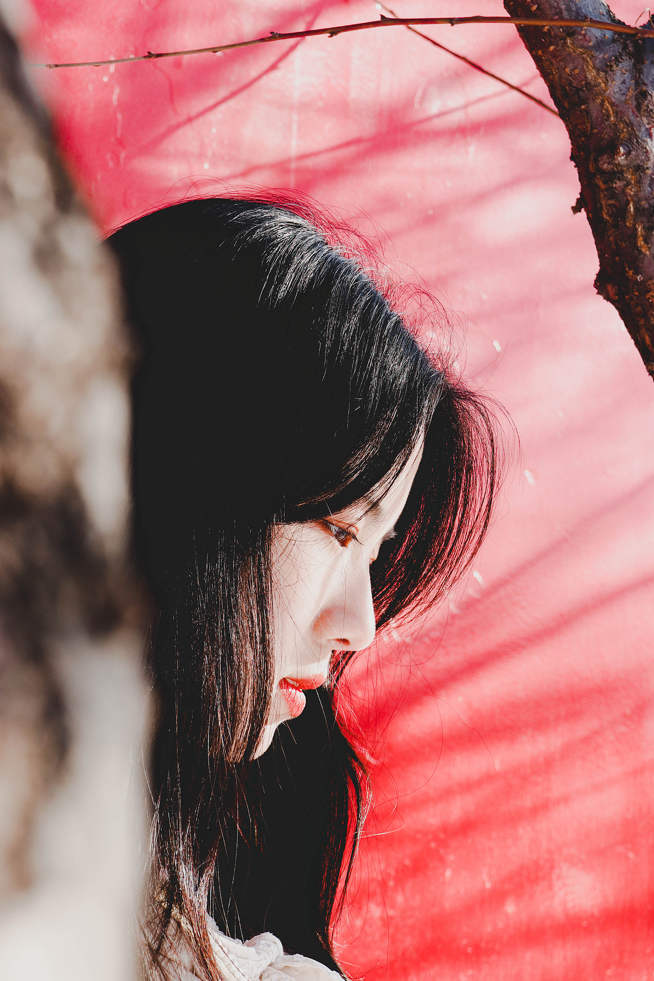 北方有佳人,其名为初雪。