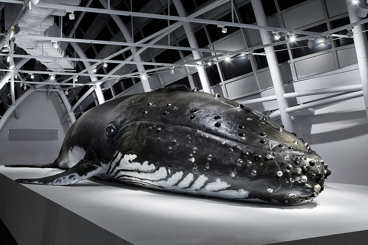 世纪·浪潮——2020海花岛国际艺术邀请展之作品