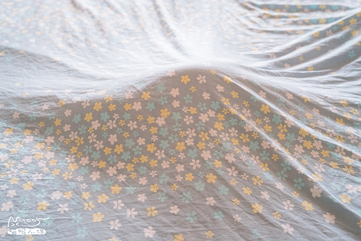 朋友家收养的奶猫们毕业啦（图ZOTAyMDM3MDQ=） - 宠物摄影 - 站酷设计师喵呜不停原创素材 - 站酷ZCOOL