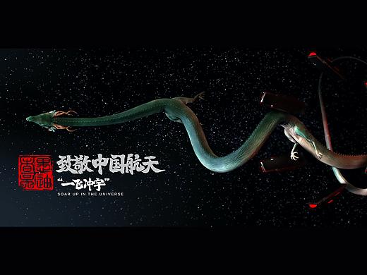 一飞冲宇