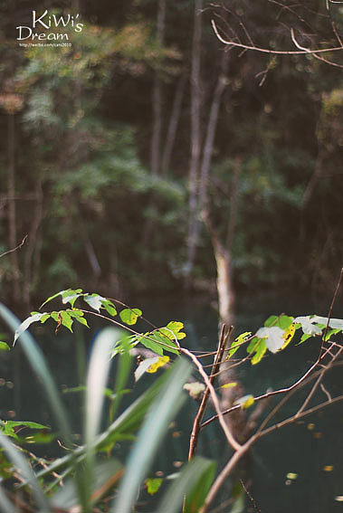 随兴拍拍，非专业（图ZNDM1OTYyMA==） - 风光摄影 - 站酷设计师AsKiWi原创素材 - 站酷ZCOOL