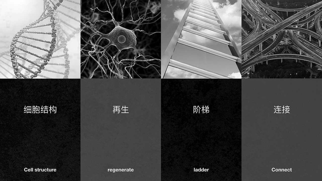 DOUGLAS品牌提案（图ZOTc2MjMxNDg=） - 品牌 - 站酷设计师先聲原创素材 - 站酷ZCOOL