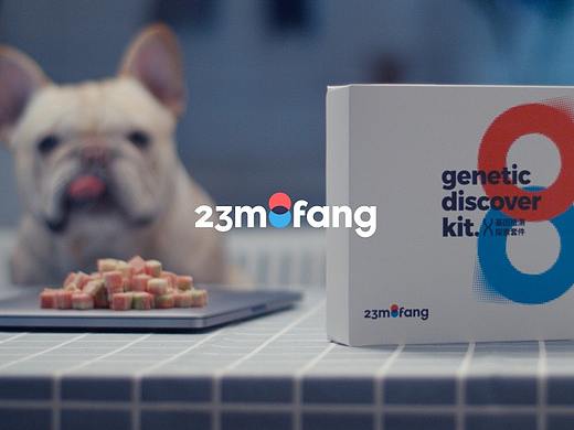 23MoFang—《探索未知的自己》