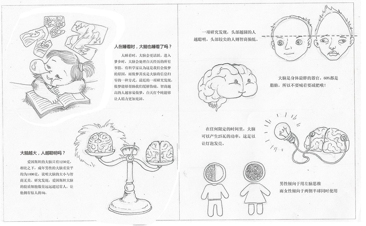 小身体大秘密系列身体科普绘本