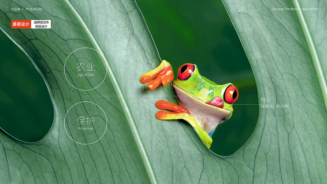 品牌设计 | LOGO设计| VI形象设计 | IP超级符号设计（图ZMjc1NzgwMjQ0） - IP形象 - 站酷设计师申德设计工作室原创素材 - 站酷ZCOOL