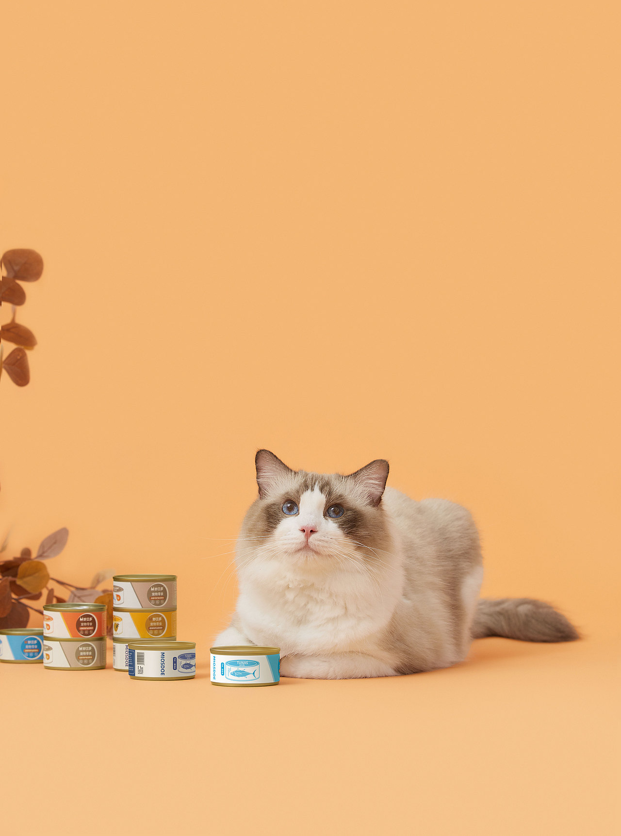 猫罐头丨KIVII视觉