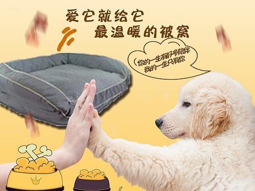 宠物店焦点图与店招