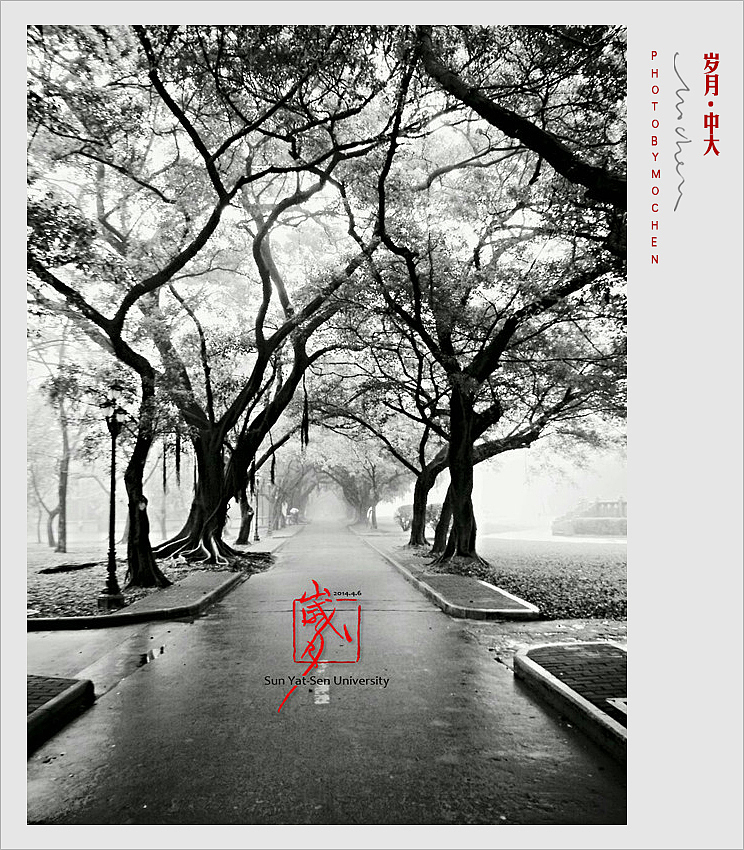 沉寂在岁月里的中大