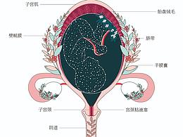 试管相关内容