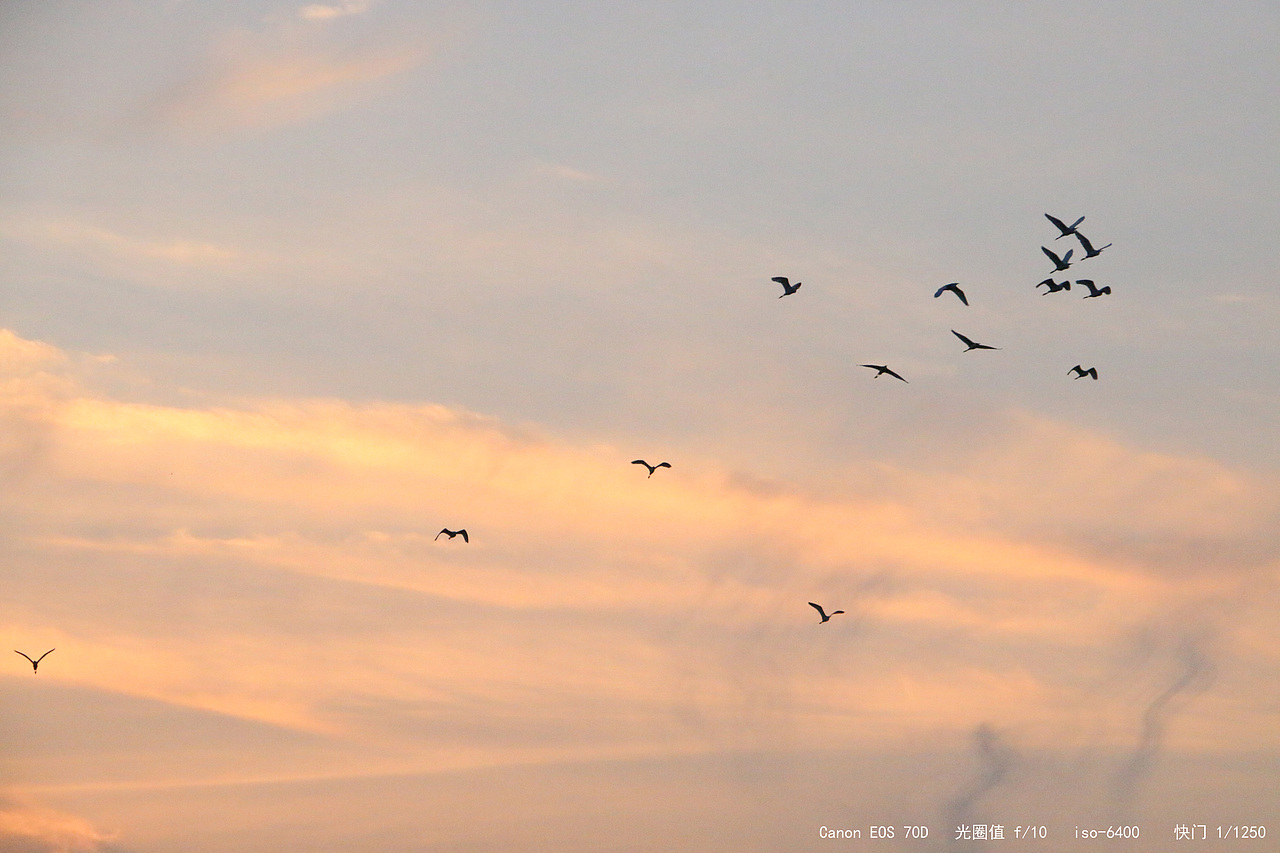 落日孤影（图ZMTMxOTAyMzY4） - 风光摄影 - 站酷设计师Georgia孙原创素材 - 站酷ZCOOL