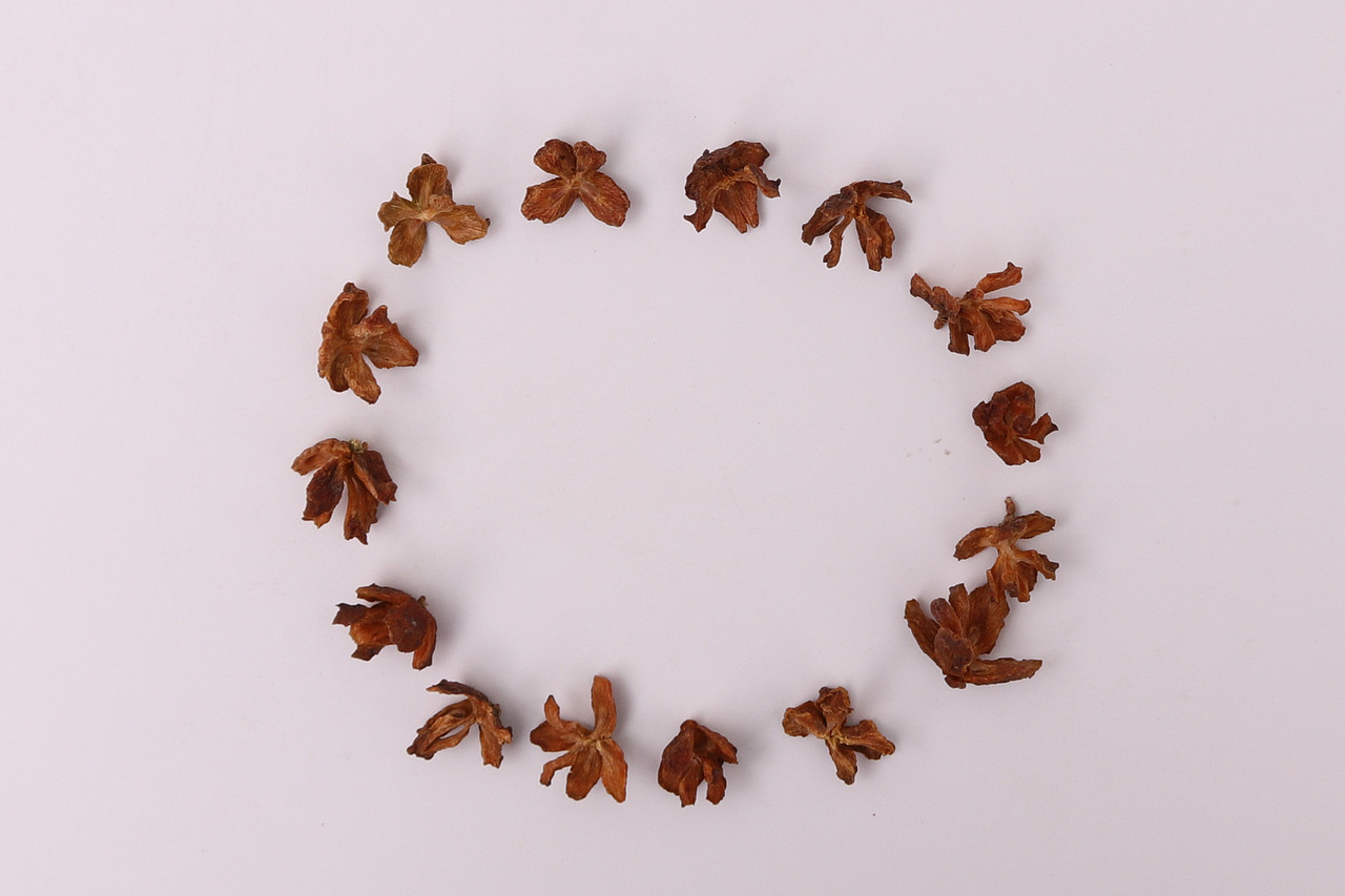 B10鲜花园艺\C11-永生花干花\V02柏壳-X1-QM（图ZMjU1NzcwNzE2） - 产品摄影 - 站酷设计师图海网原创素材 - 站酷ZCOOL