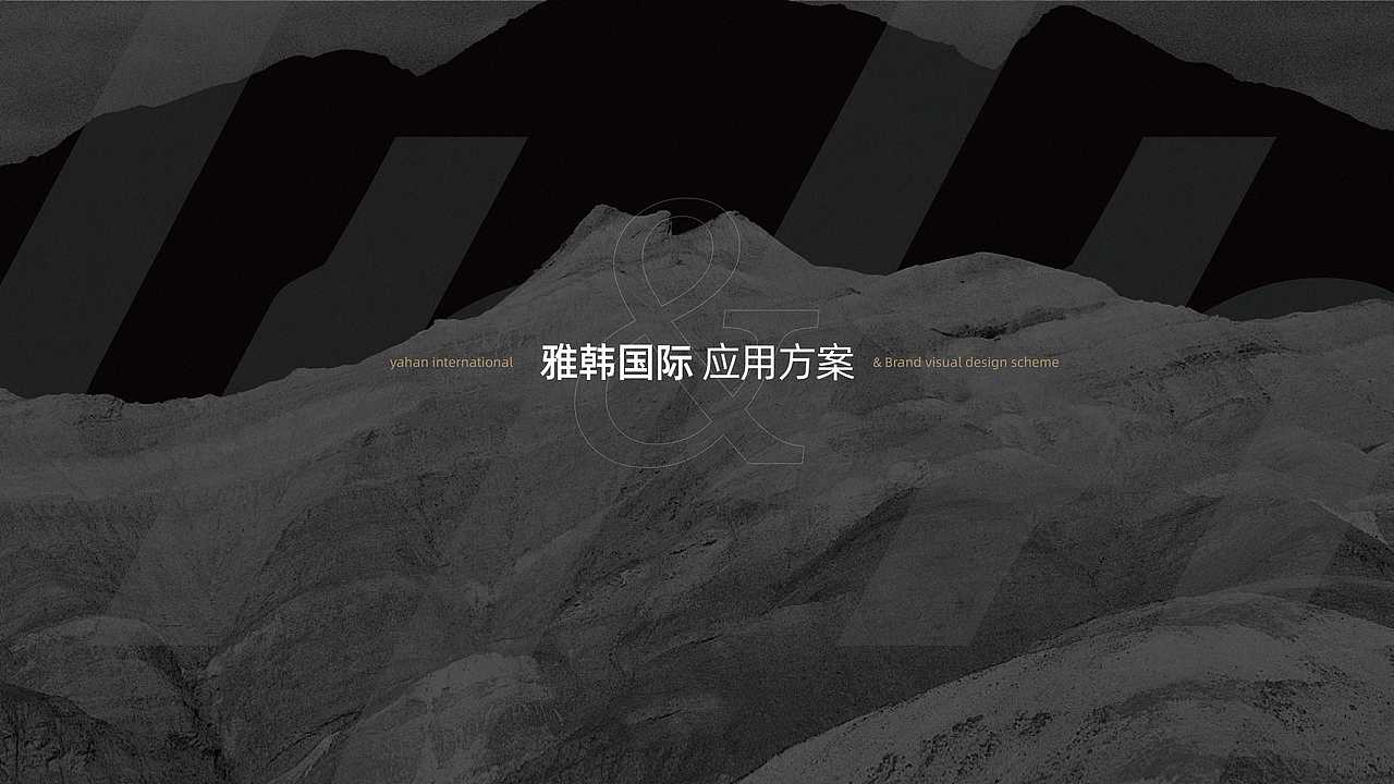 雅韩国际-美业品牌Logo及VI设计
