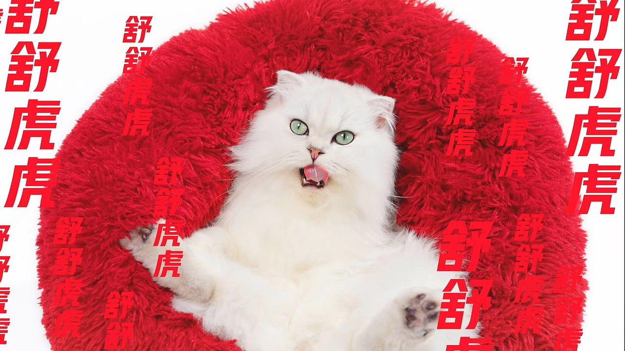 珀珀宠影x红魔游戏手机之过年贺岁小片