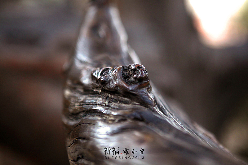 祈福.雍和宫（图ZMTI0Njk2OTI=） - 风光摄影 - 站酷设计师流景原创素材 - 站酷ZCOOL