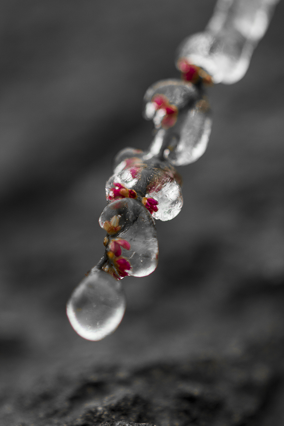 云南-罗平油菜花（图ZMTQxMzE0ODA=） - 风光摄影 - 站酷设计师RyanShao原创素材 - 站酷ZCOOL