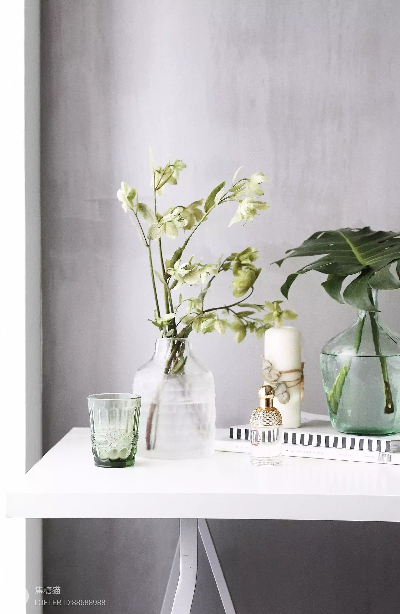 2021合集|焦糖猫