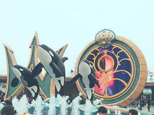 手机摄影 - 上海 - 海昌海洋公园