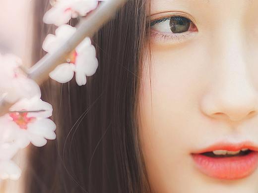 春の花见