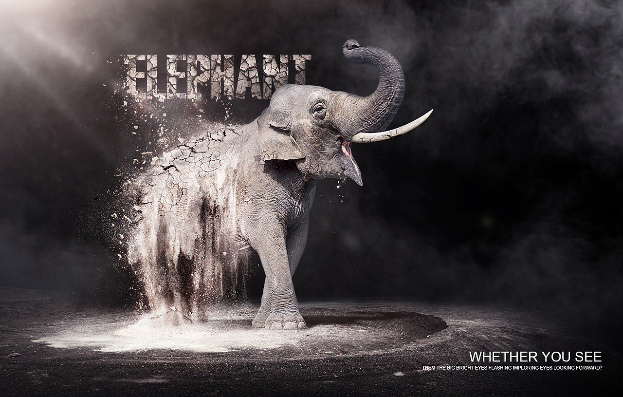 灵动引擎年度精选集(带作品影集)(2014-2016)